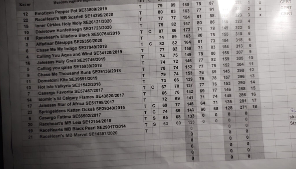 213346026 10223661654182870 8704630726499666943 n