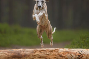 517502848_10234876650750775_1395543773013091213_n