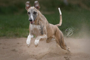 517603661_10234872707012184_7269370005669758932_n