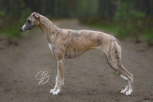 517613754_10234876202579571_1582149024112682952_n