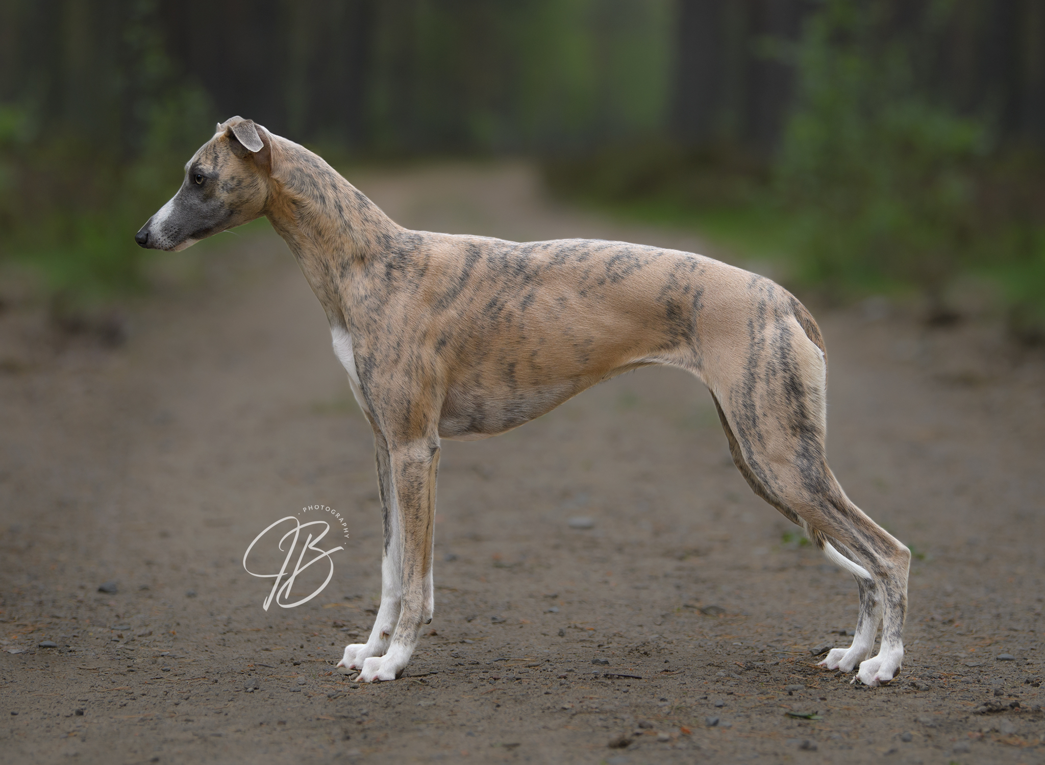 517613754_10234876202579571_1582149024112682952_n