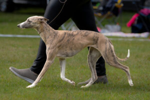 518005339_10234876904717124_7562352429864216489_n