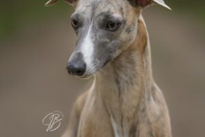 518328092_10234876199979506_8566739677220337266_n