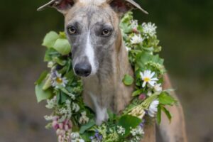 520143118_10234964009454688_1851511023305628668_n