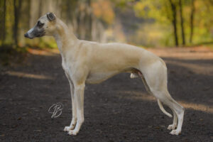 559114755_10163327367098774_416348293795684222_n