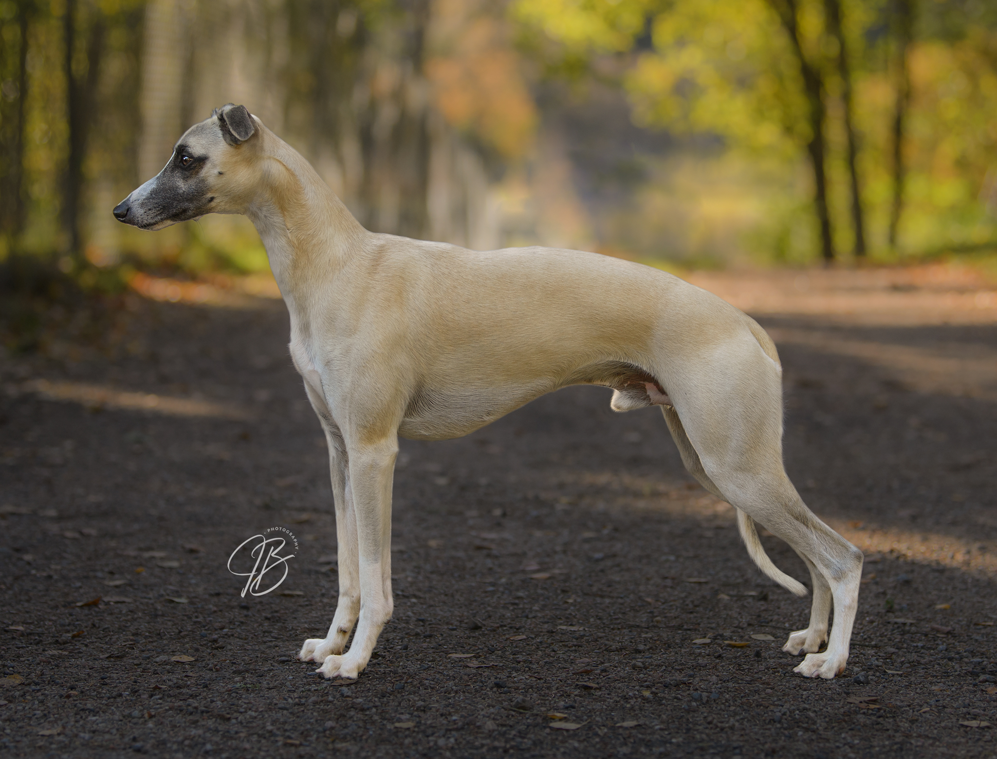 559114755_10163327367098774_416348293795684222_n