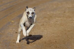 561586969_10163346938663774_8515245917295117322_n