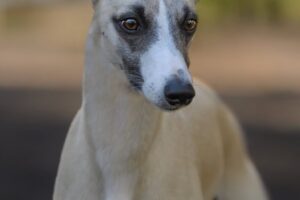 564113757_10163327366763774_6324246940016206763_n