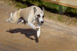 564714515_10163346939663774_1814543003284708537_n